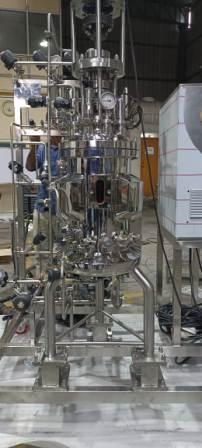 25L Mixing Vessel with a Top Agitator